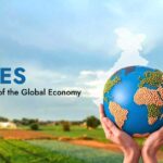 Pulses – The Backbone of the Global Economy